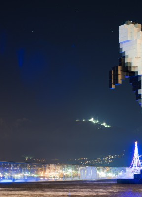 Digital Whale